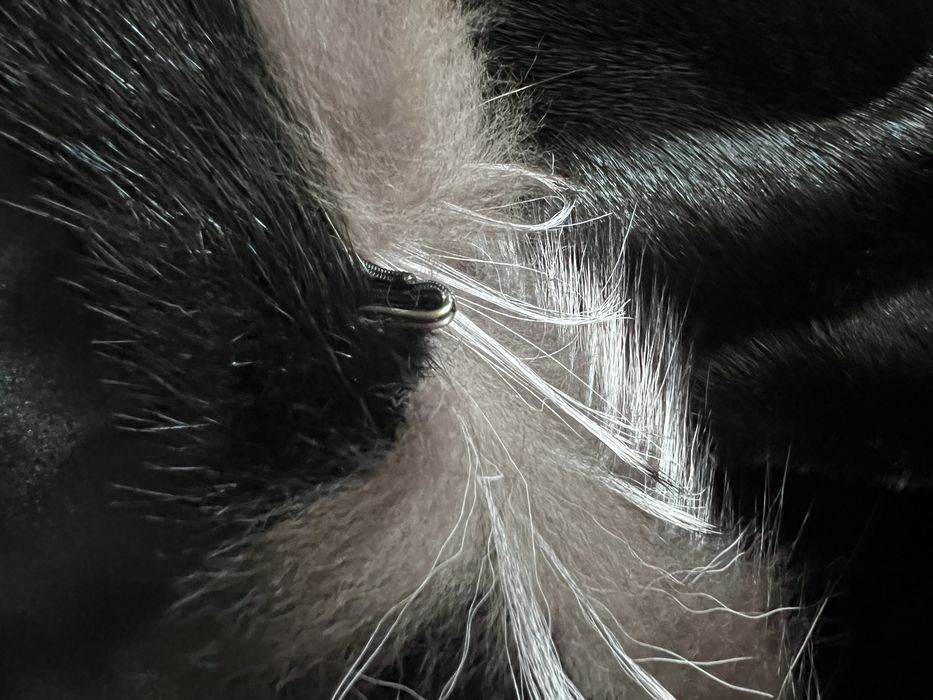 Новая! Натуральная норковая шуба с мехом чернобурки