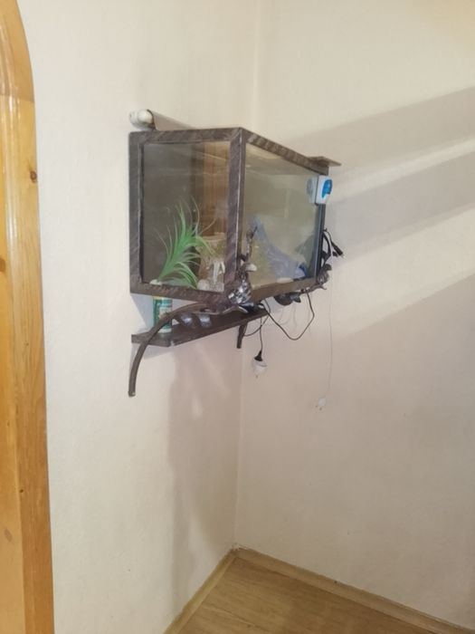 Акваріум великий