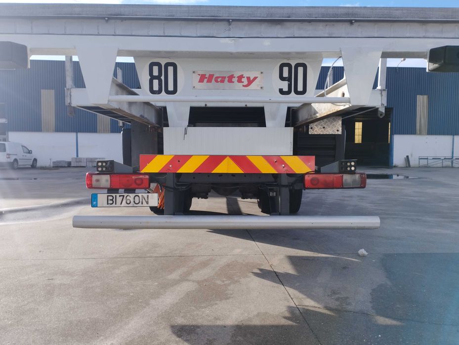 RENAULT 310dxi c/grua palfinger