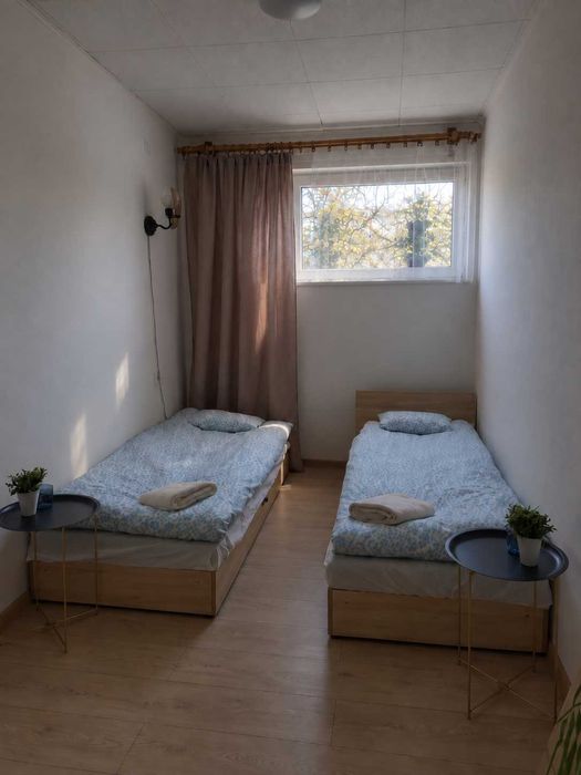 Zdjęcie 3