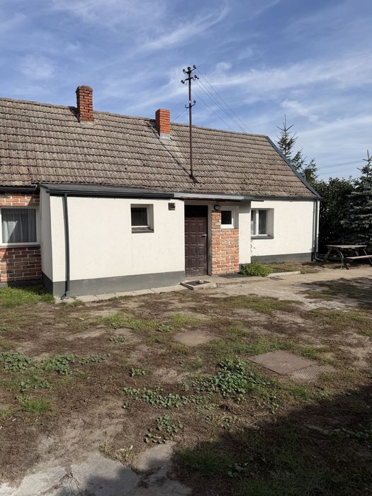 Wynajme mały Domek