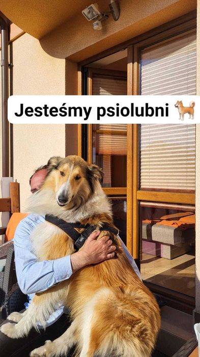 Marcus 2026 Rowy k.Ustki Gratis Basen, jacuzi, sauna, rowery  Bez Strachu o pogodę