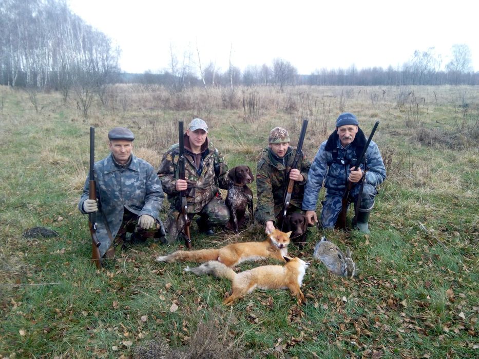 Курцхаар для вязки