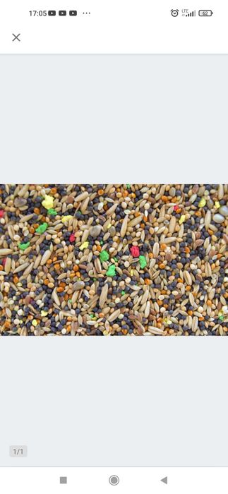 Karma Kanarek Uniwersalna z witaminami.