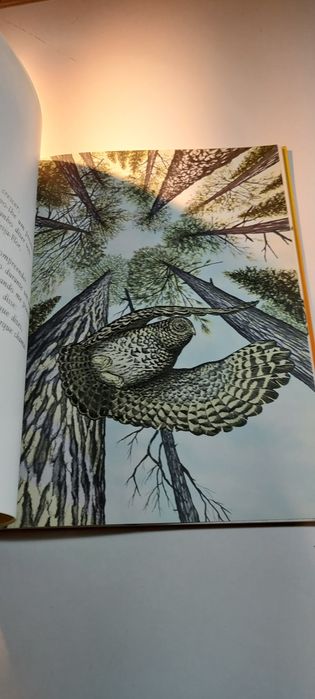 Não há Longe nem Distância - Richard Bach