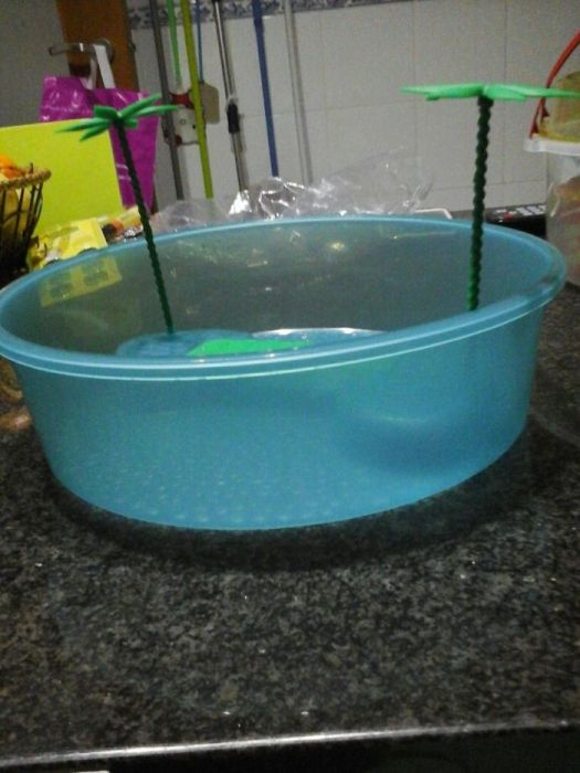 Aquário Tartarugueira