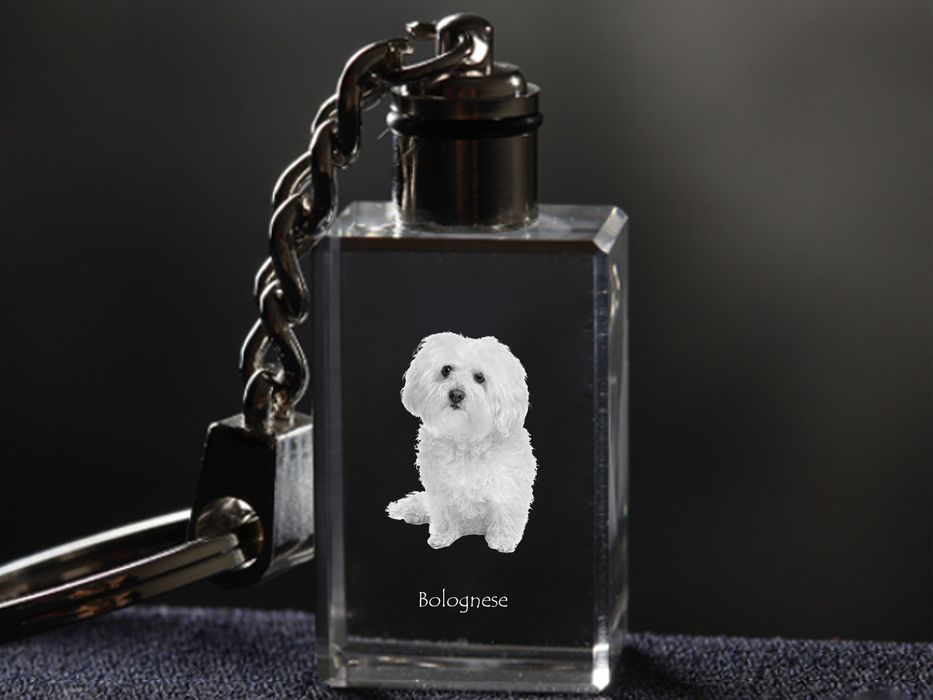 Bolończyk brelok kryształowy z psem Art-Dog