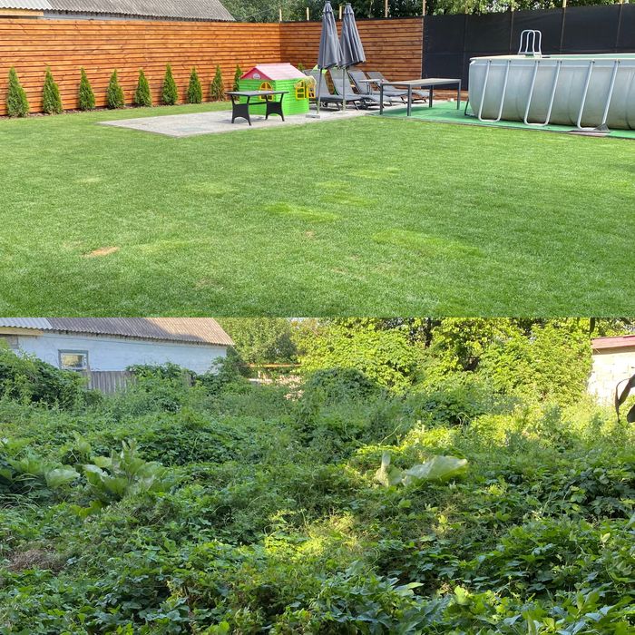 Рулонний/Посівний газон + Автополив + Обслуговування