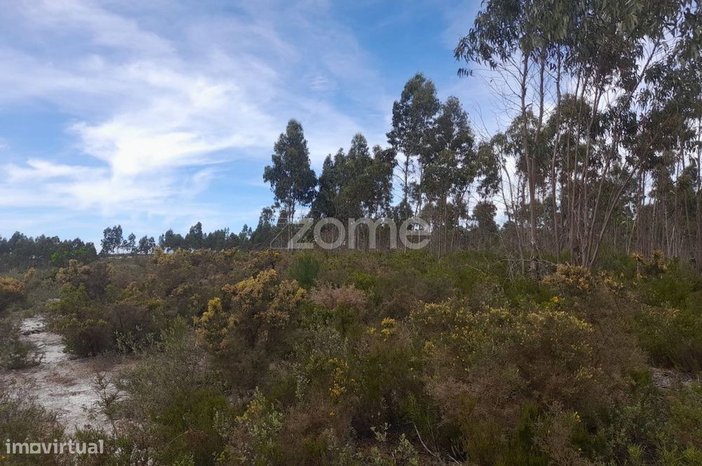 Terreno Rustico com 12580m2