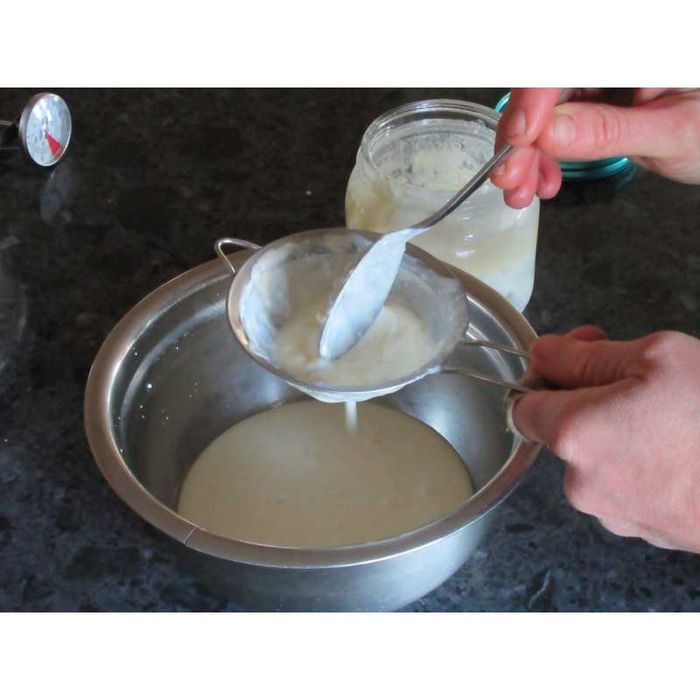 Kefir e Kombucha pronto para Venda, envio ou entrega