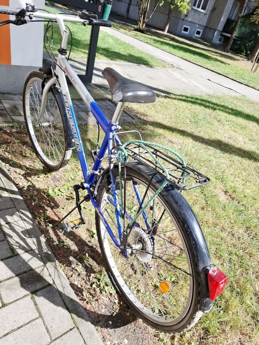 Rower Arkus Delta Trend 301