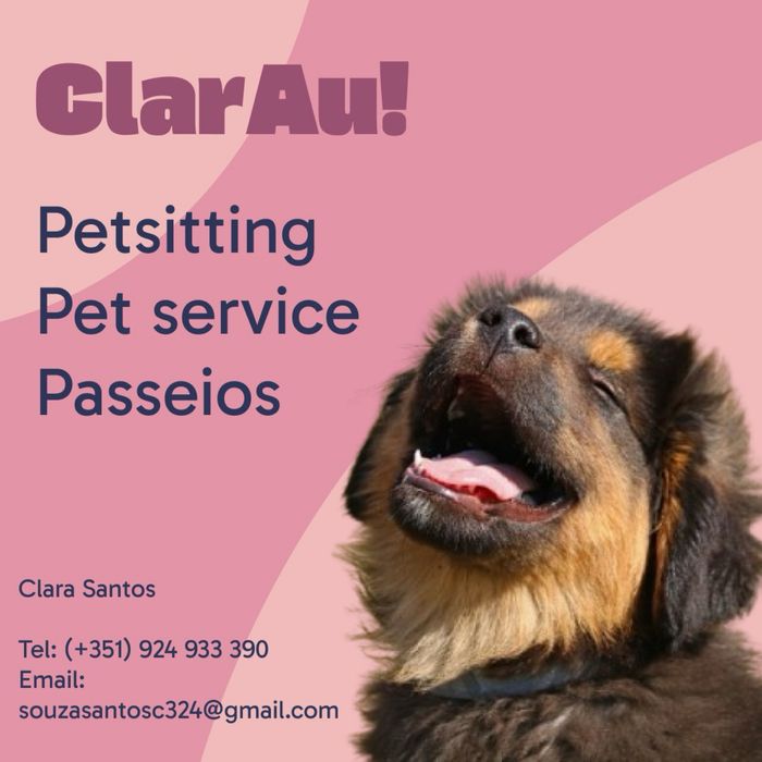 Cuido do seu cão ou o levo para passear