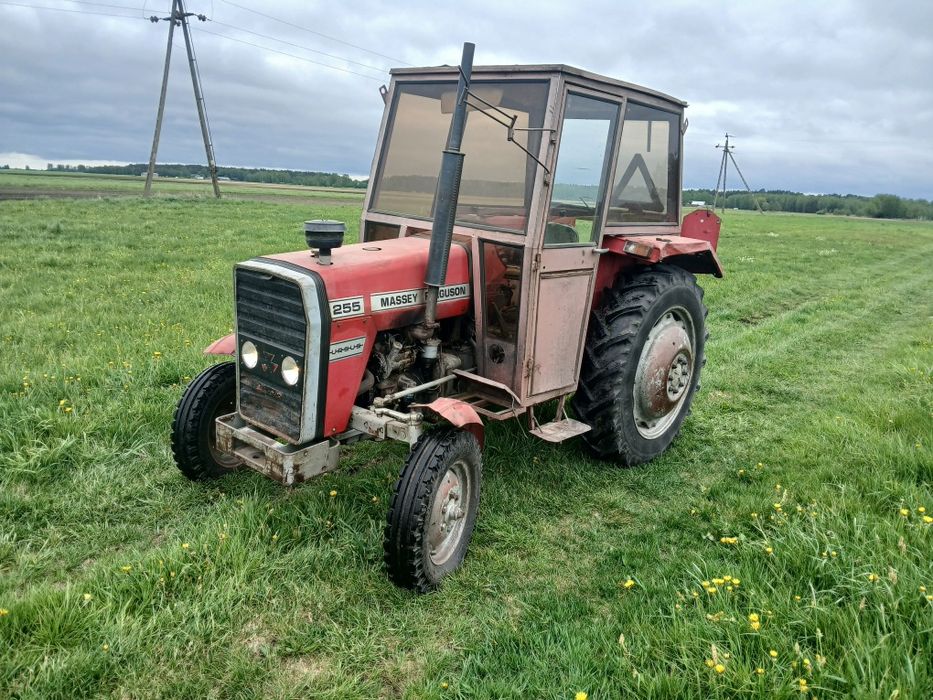 Ciągnik rolniczy ursus mf 255 w oryginale