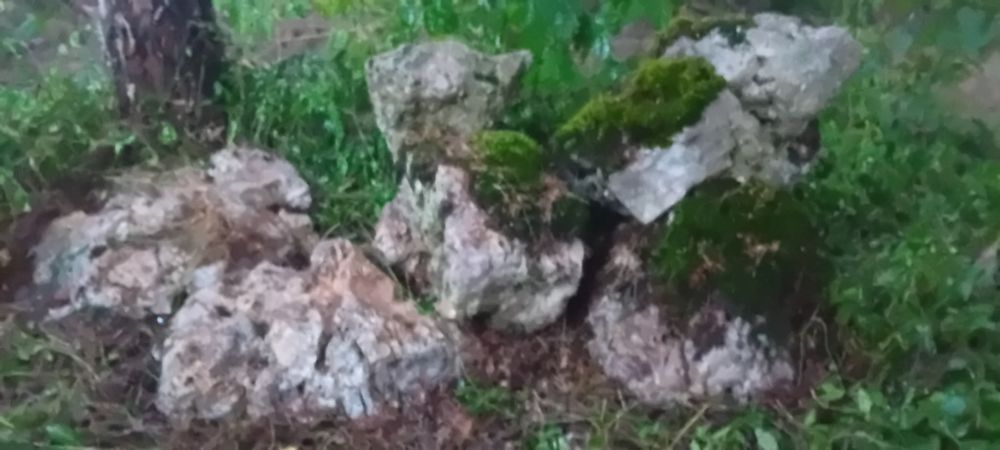9 dużych głazów  wapiennych ,ostańców