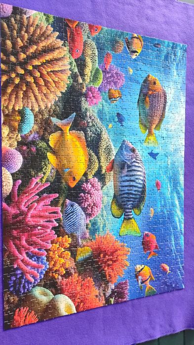 2 Puzzles 1000 pcs   .