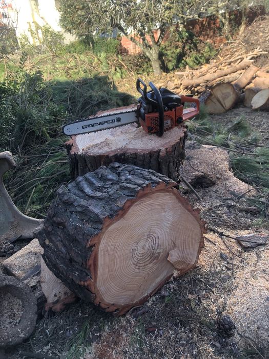 Limpeza terreno e corte arvores