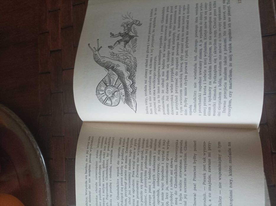 Swift podróże Guliwera wyd 1967