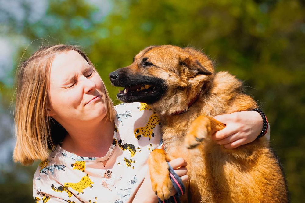 Dan - mega rewelacyjny pies