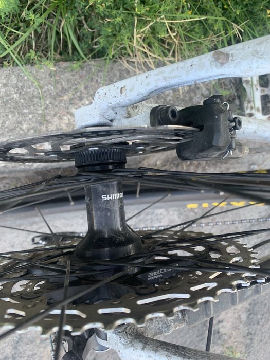 Кантрійний фелосипед Orbea alma