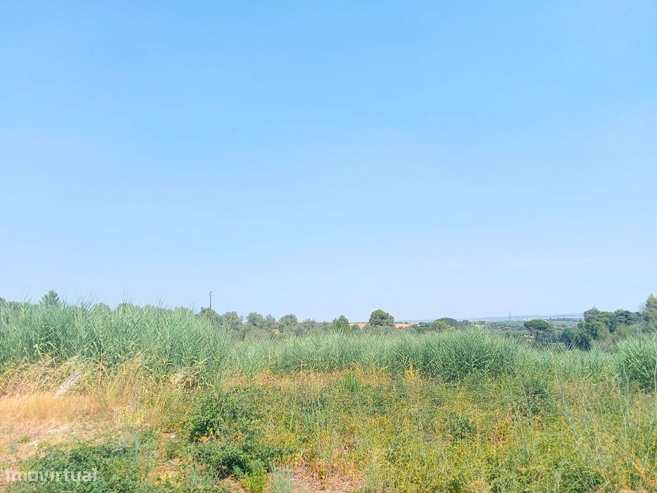 Terreno para Venda - 707 m²