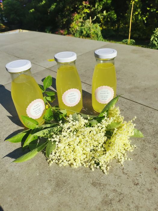 Syrop z kwiatów bzu czarnego 300ml.