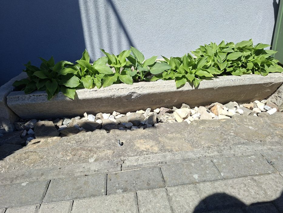 Koryta Doncie Kule Piaskowe Kamienne