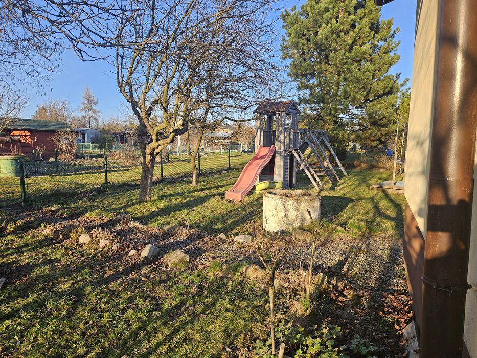 Ogródek działkowy ROD Morfeusz działka rekreacyjna - Widok 6