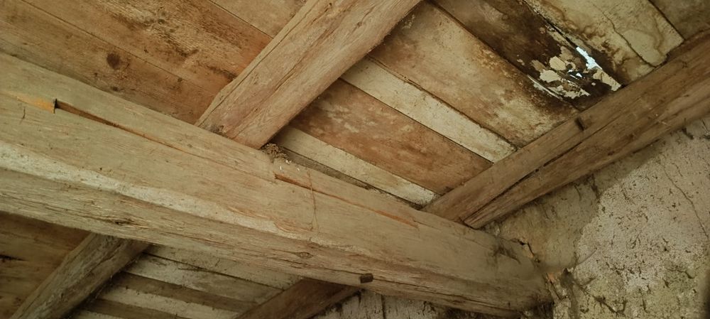 Stare belki . Cena do uzgodnienia