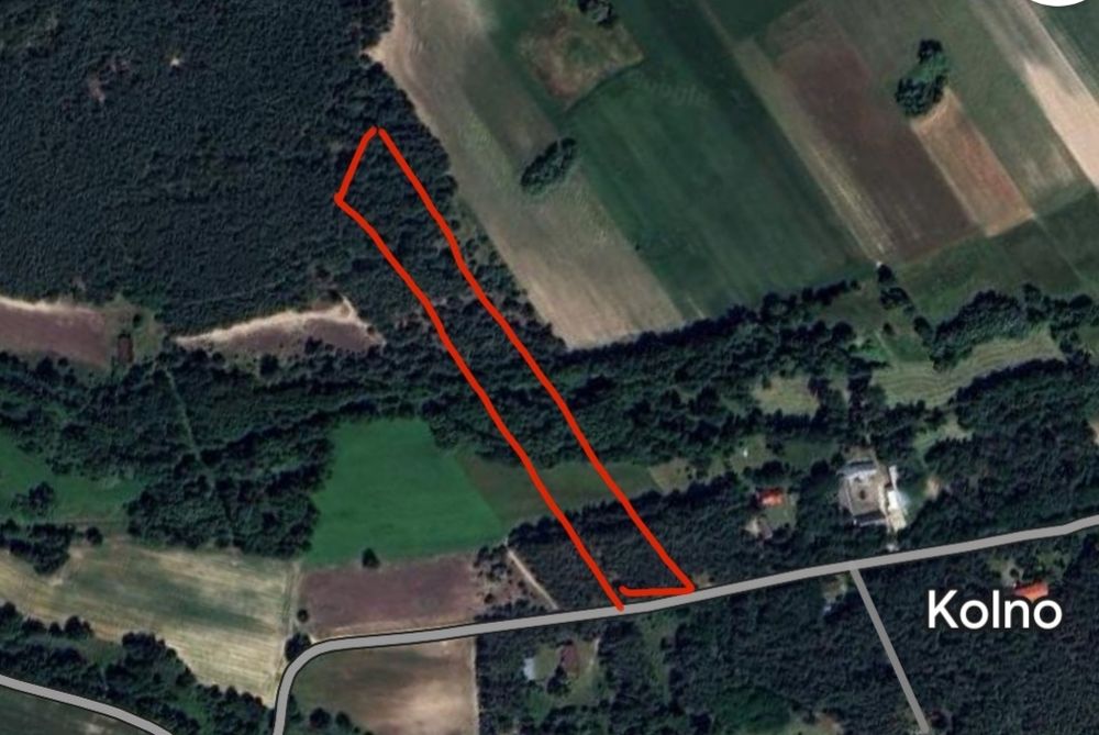 Las 2ha, piękna działka między leśna 2000m3,