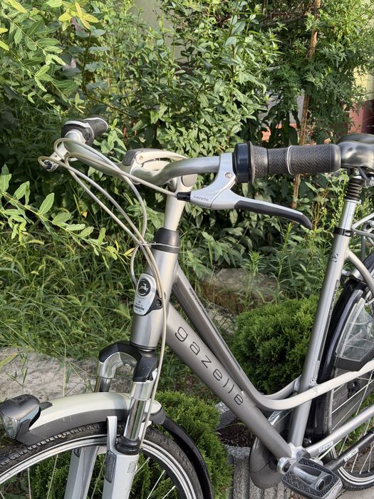 Damka Gazelle Paris Plus H57 Holenderski