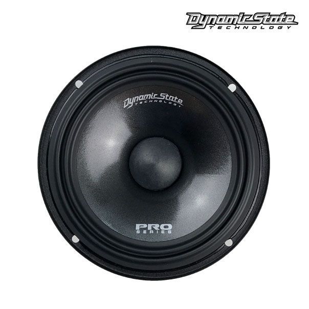 Естрадна акустика Dynamic State PM-165.3 PRO