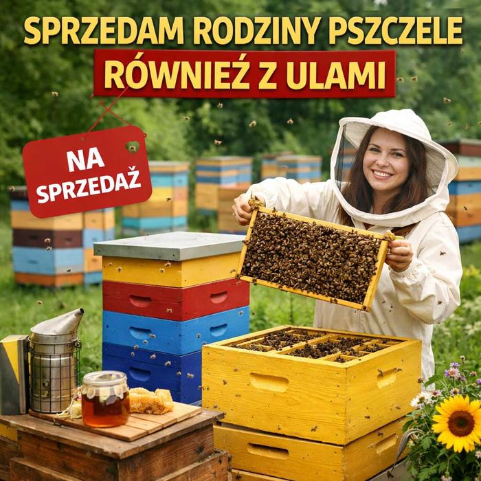 Pasieka i pszczoły. Sprzedam rodziny pszczele. W-wa. + GRATIS KURS