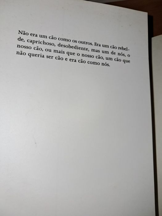 Livro Cão Como Nós de Manuel Alegre