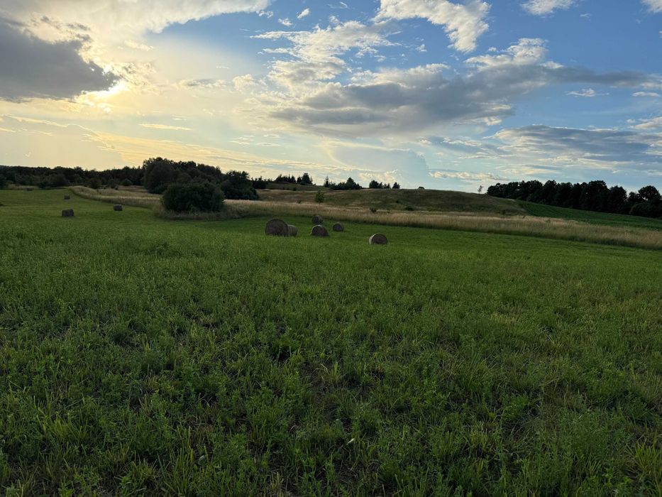 działki na Mazurach z warunkami zabudowy - tanio! - Widok 2
