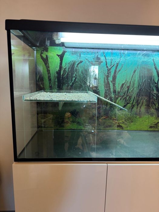 Wiwarium dla żółwia 120x40x55+szafka
