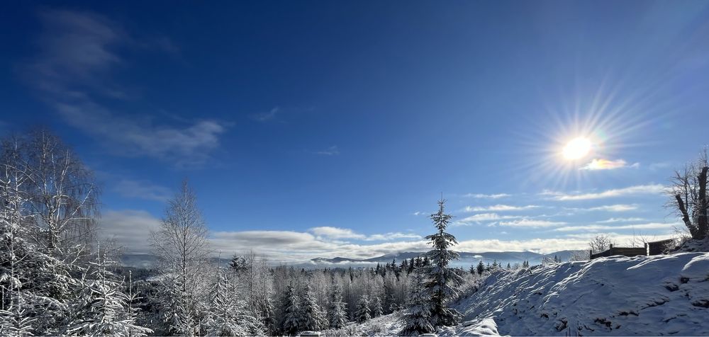 Будинок/ Готель в Карпатах Яблуниця Буковель