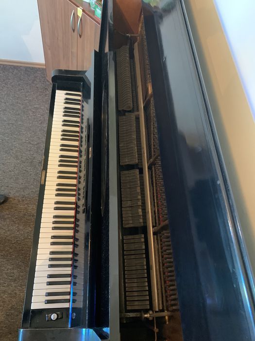 Pianino T. Betting