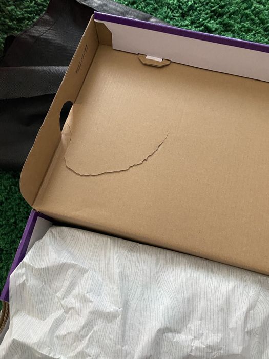 Nike sb dunk atmos elephant