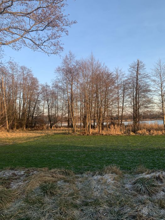 Działka budowlana blisko jeziora Januszewice