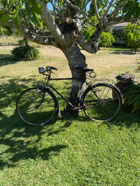 Bicicleta pasteleira super said de 1968