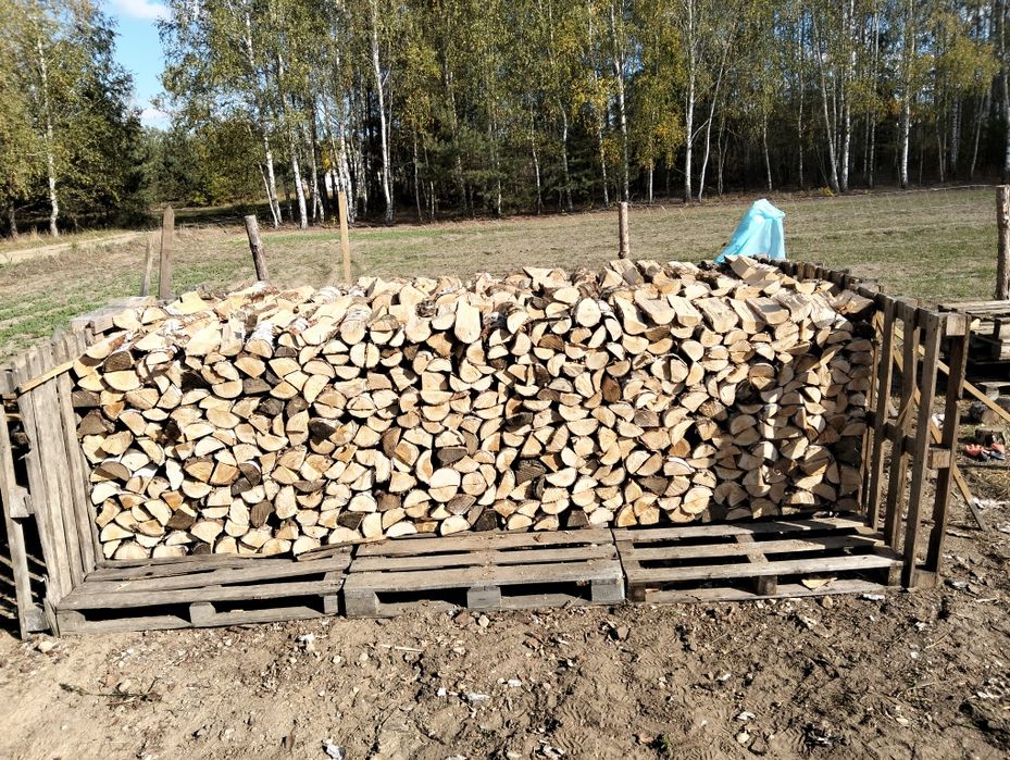 Brzoza rąbana transport drewno