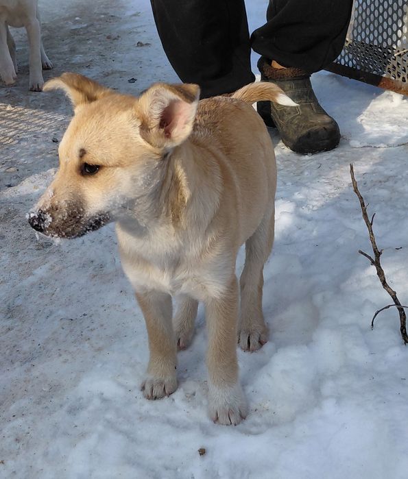 Дівчинці потрібна родина!