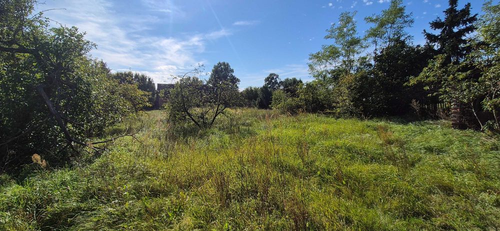 Dom z dużą stodołą, spokojna okolica, ogród i działka 0,82 ha Czarnowo