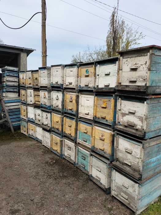 Продам вулики б/в