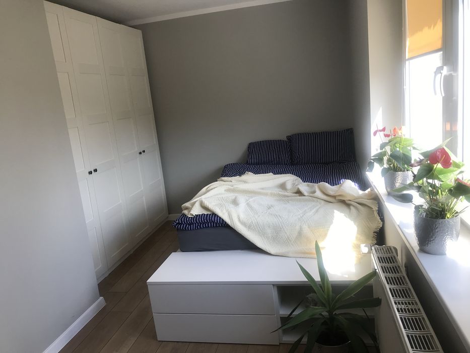 Dwupokojowe mieszkanie 50m2 w centrum Zg-ca z niskim czynszem