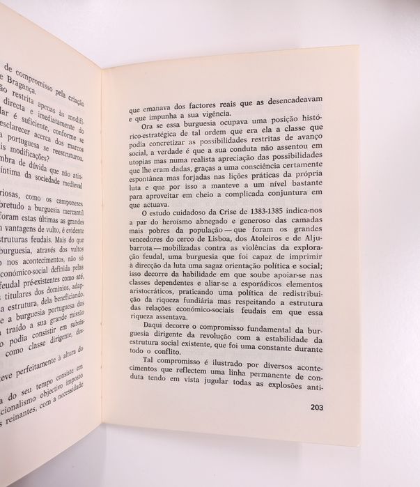 Ensaios sobre cultura e história - 1a edição