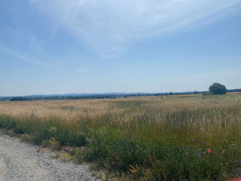 Działka budowlana Lutomia Górna uzbrojona Okazja 1500m2.