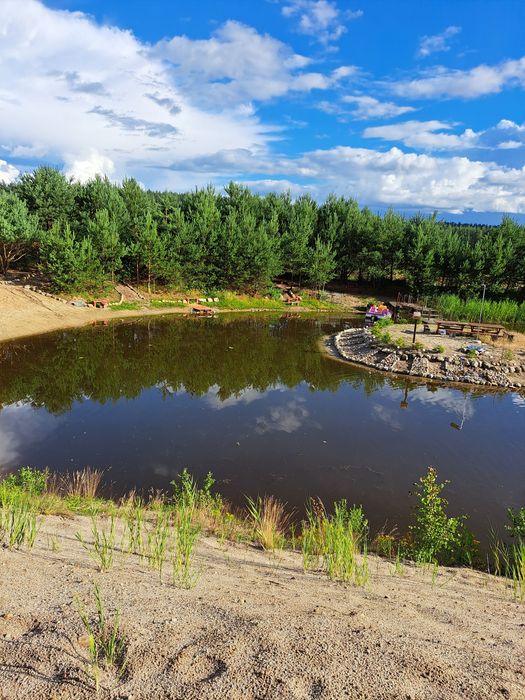Koszenie trzcin odmulanie czyszczenie stawów i akwenów wodnych
