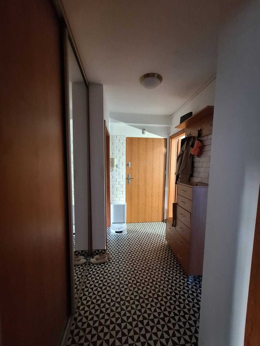 Zdjęcie 7