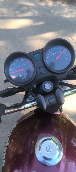 Mustang fit 125 2021